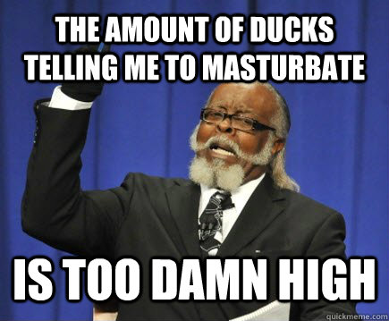 the amount of ducks telling me to masturbate is too damn hi - Too Damn High