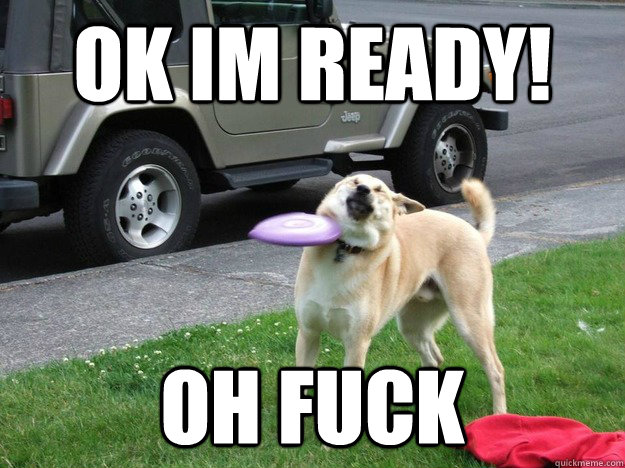 ok im ready oh fuck - Uncoordinated dog