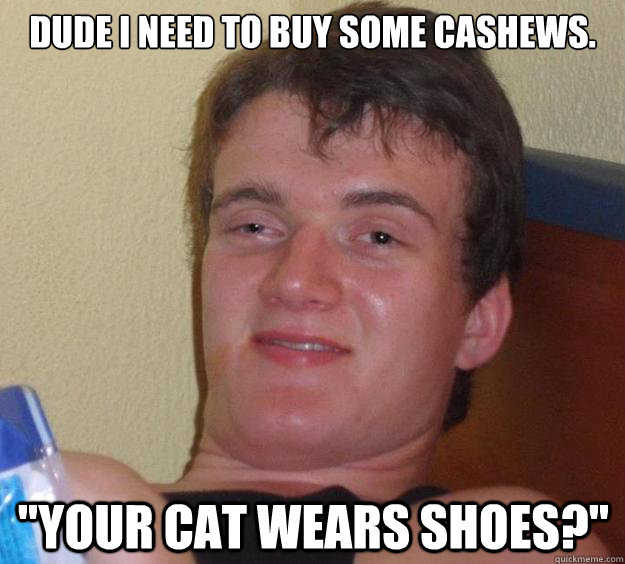 dude i need to buy some cashews your cat wears shoes - 10 Guy