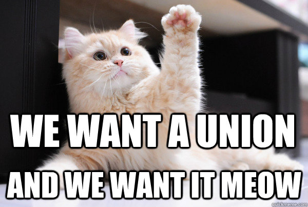 we want a union and we want it meow -