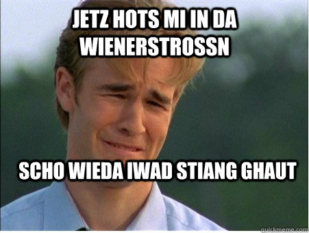 jetz hots mi in da wienerstrossn scho wieda iwad stiang ghau - 1990s Problems