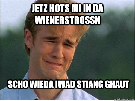 jetz hots mi in da wienerstrossn scho wieda iwad stiang ghau - 1990s Problems