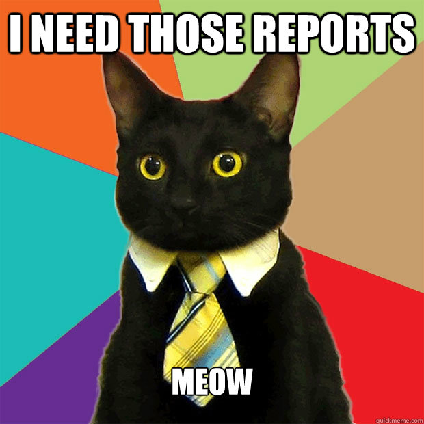 i need those reports meow - Business Cat