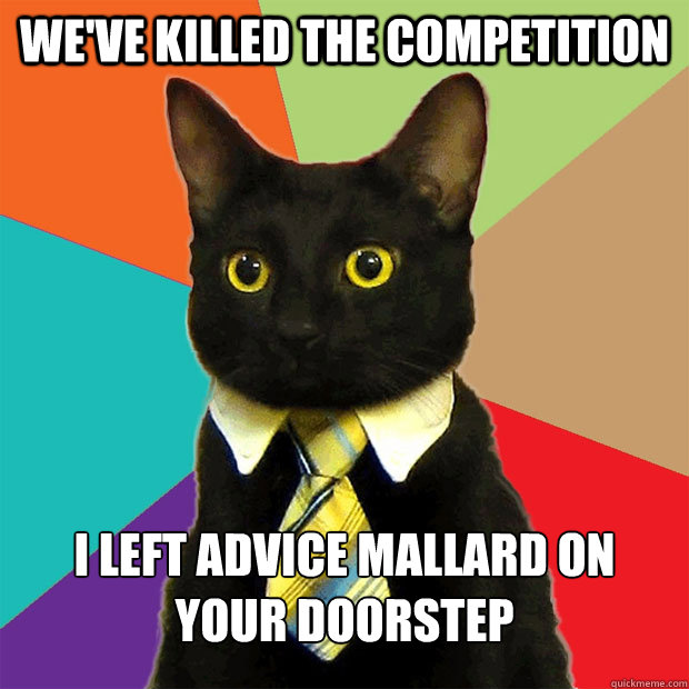 weve killed the competition i left advice mallard on your d - Business Cat