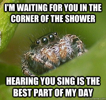 im waiting for you in the corner of the shower hearing you - Misunderstood Spider
