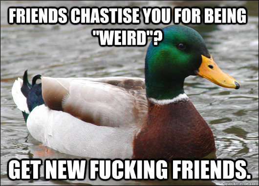 friends chastise you for being weird get new fucking frie - Actual Advice Mallard