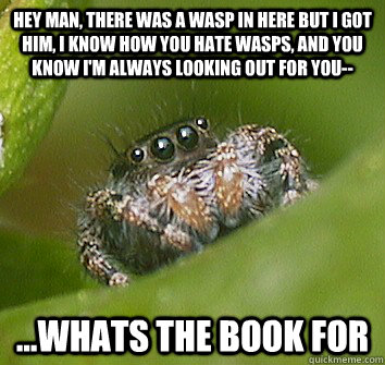 hey man there was a wasp in here but i got him i know how - Misunderstood Spider