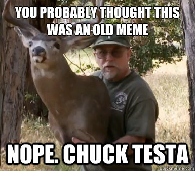 you probably thought this was an old meme nope chuck testa - Chuck Testa