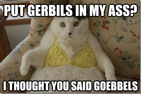 put gerbils in my ass i thought you said goebbels - Kinky Hitler Cat