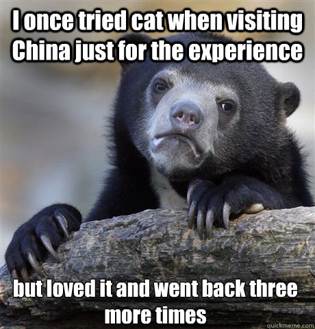 i once tried cat when visiting china just for the experience - Confession Bear
