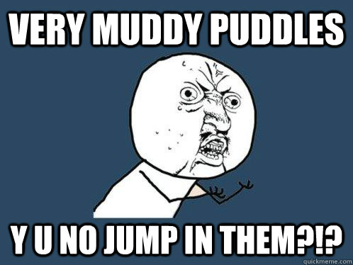 very muddy puddles y u no jump in them - Y U No