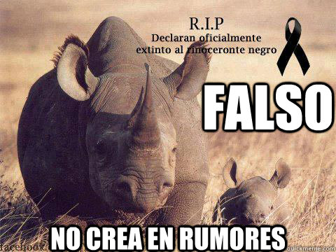 Falso Rumor del rinoceronte extinto 