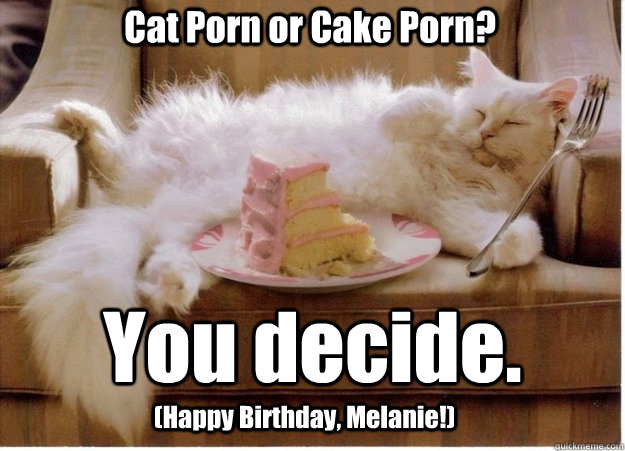 Cat Porn Or Cake Porn You Decide Happy Birthday Melanie Cat Cake Quickmeme