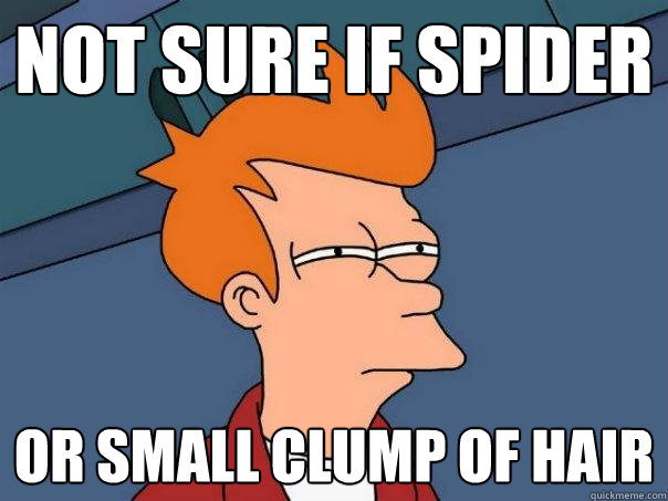 not sure if spider or small clump of hair - Futurama Fry