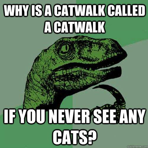 why-is-a-catwalk-called-a-catwalk-if-you-never-see-any-cats-philosoraptor