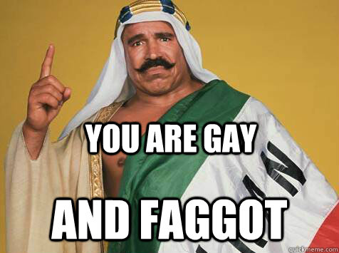 Iron sheik you are gay