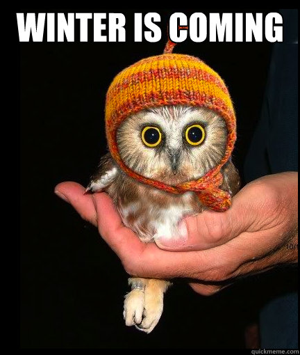 winter is coming - Winter is coming