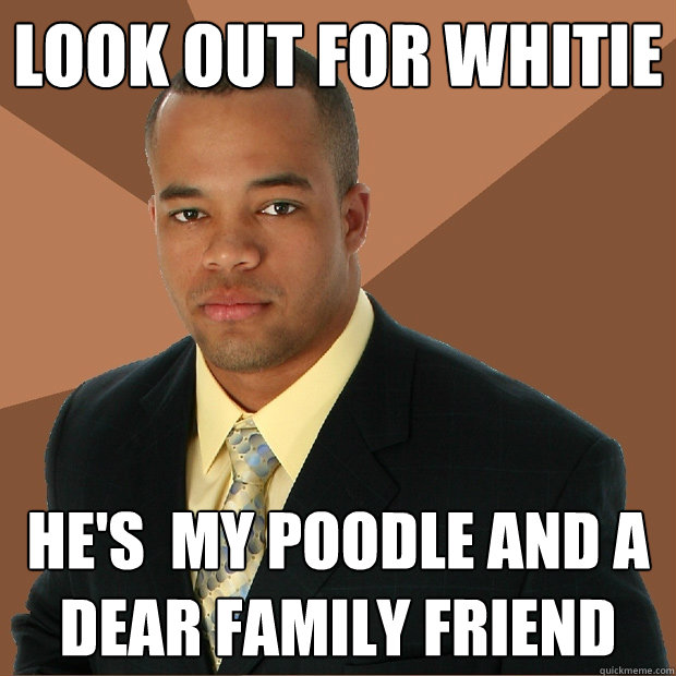 look out for whitie hes my poodle and a dear family friend - Successful Black Man