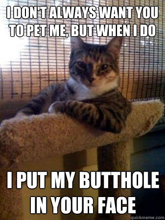 i dont always want you to pet me but when i do i put my bu - The Most Interesting Cat in the World