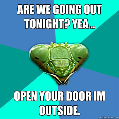 are we going out tonight yea open your door im outside - Crazy Girlfriend Praying Mantis