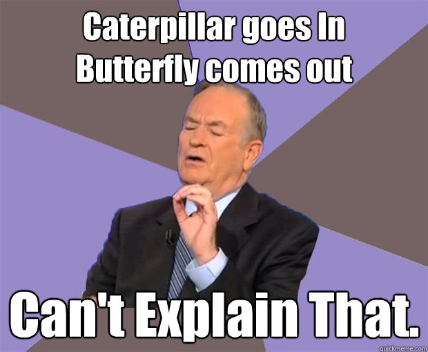 caterpillar goes in butterfly comes out cant explain that - Bill O Reilly