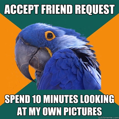 accept friend request spend 10 minutes looking at my own pic - Paranoid Parrot