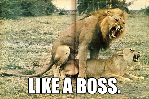 like a boss - LIKE A BOSS