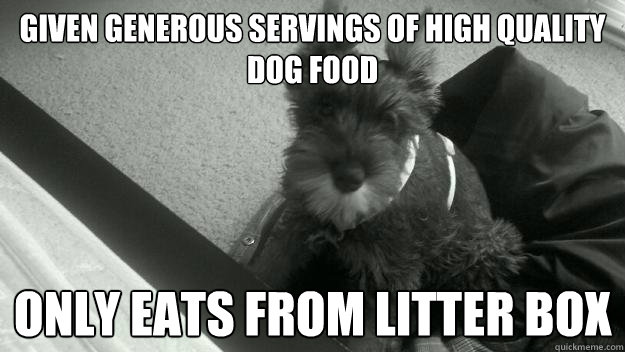 given generous servings of high quality dog food only eats f -