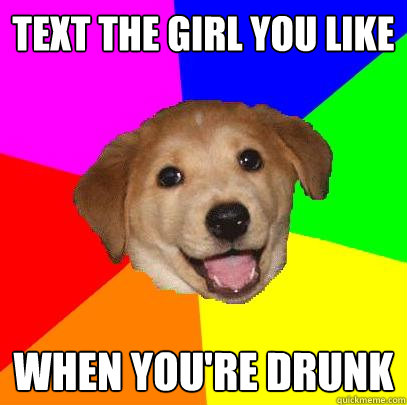 text the girl you like when youre drunk - Advice Dog