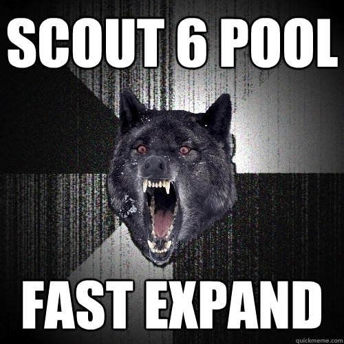 scout 6 pool fast expand - Insanity Wolf