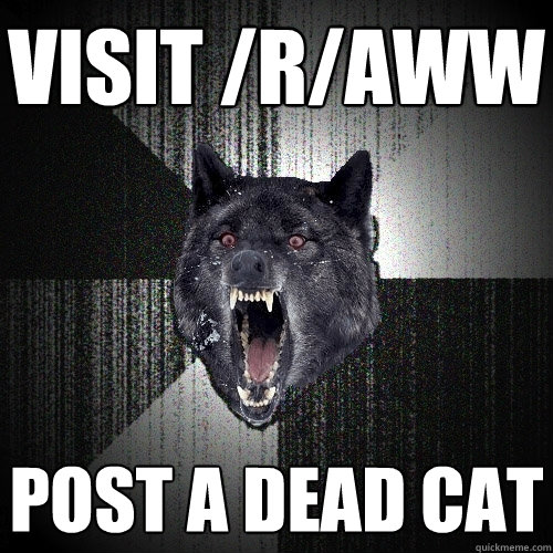 visit raww post a dead cat - Insanity Wolf