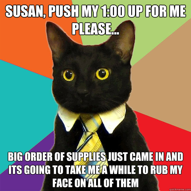 susan push my 100 up for me please big order of supplie - Business Cat
