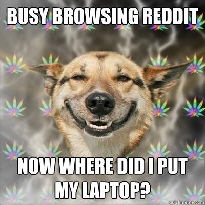 busy browsing reddit now where did i put my laptop - Stoner Dog