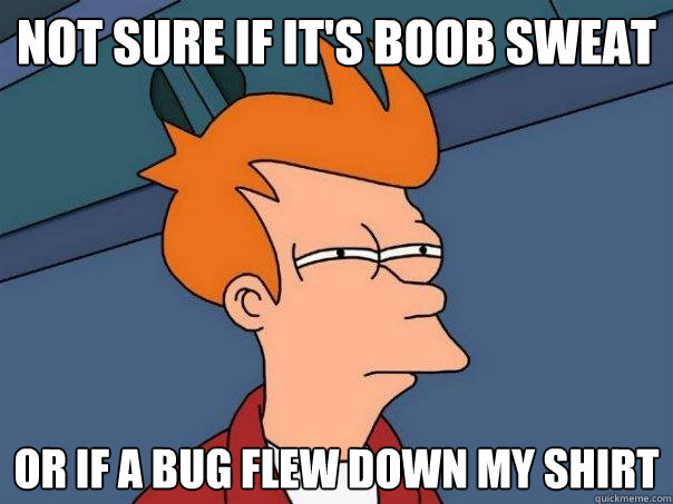 not sure if its boob sweat or if a bug flew down my shirt - Futurama Fry