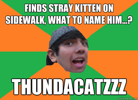 finds stray kitten on sidewalk what to name him thundac - For-real Nikhil