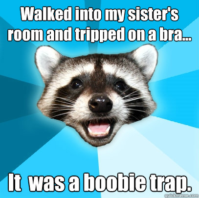 walked into my sisters room and tripped on a bra it was - Lame Pun Coon