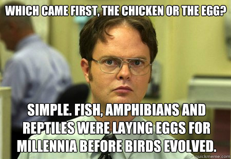 which came first the chicken or the egg simple fish amph - Schrute