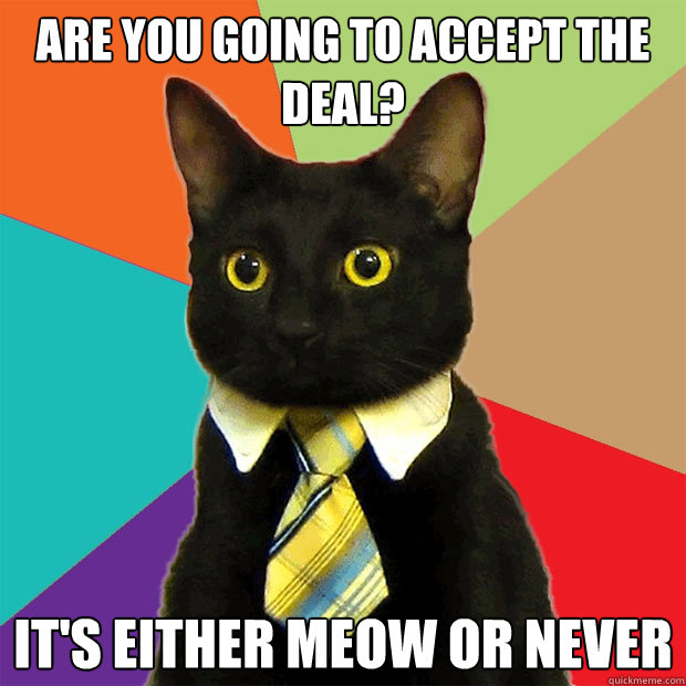 are you going to accept the deal its either meow or never - Business Cat