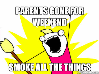 parents gone for weekend smoke all the things - All The Things