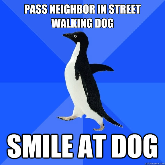pass neighbor in street walking dog smile at dog - Socially Awkward Penguin