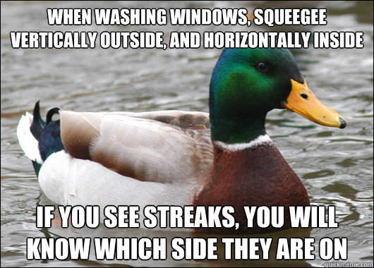 when washing windows squeegee vertically outside and horiz - Actual Advice Mallard