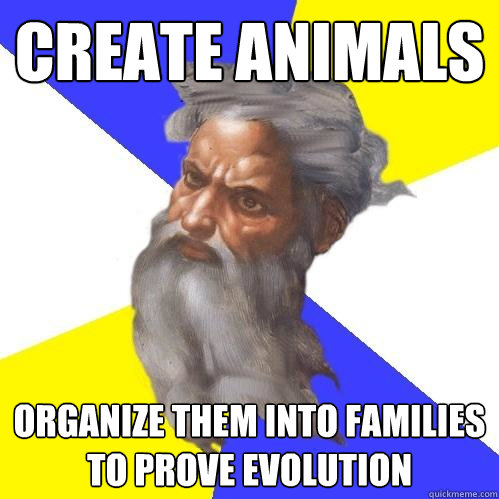 create animals organize them into families to prove evolutio - Advice God