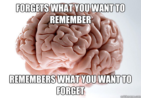 forgets what you want to remember remembers what you want to - Scumbag Brain