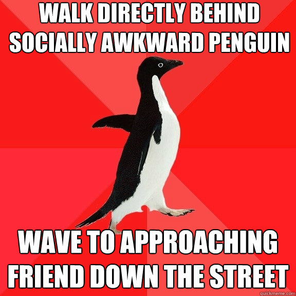 walk directly behind socially awkward penguin wave to approa - Socially Awesome Penguin