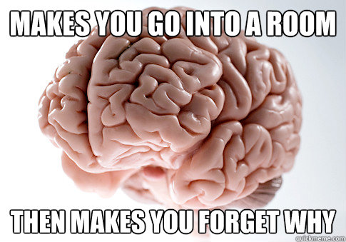 makes you go into a room then makes you forget why - Scumbag Brain