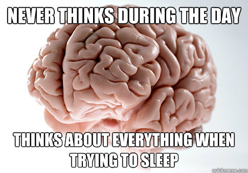 never thinks during the day thinks about everything when try - Scumbag Brain