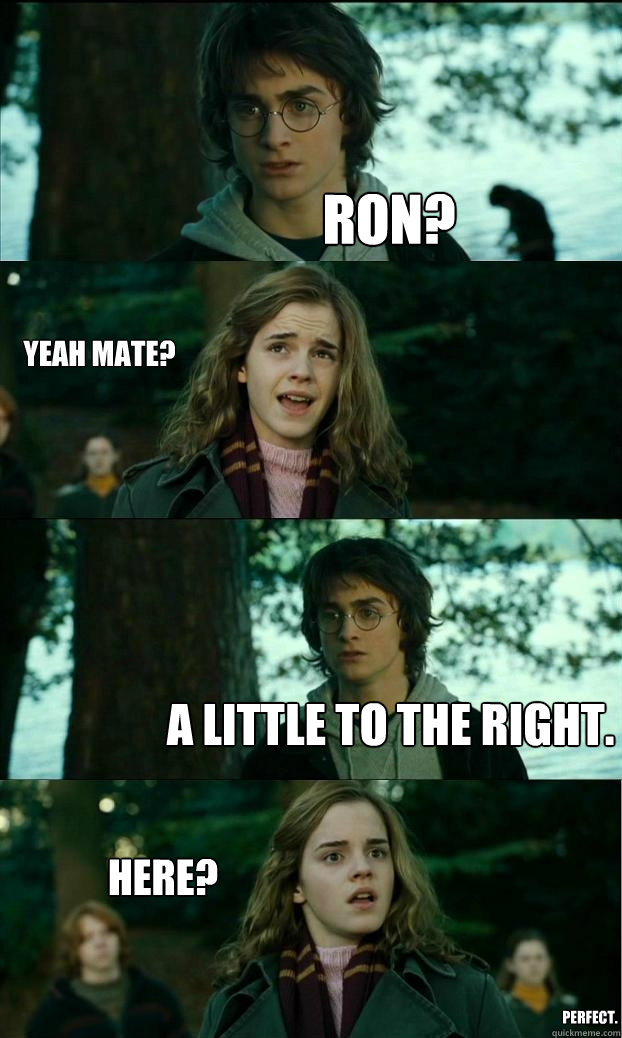 ron yeah mate a little to the right here perfect - Horny Harry