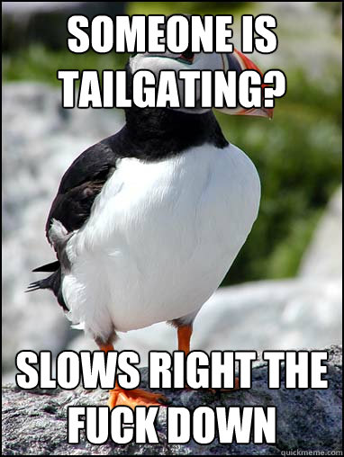 someone is tailgating slows right the fuck down - Passive-aggressive puffin