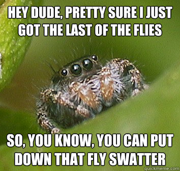 hey dude pretty sure i just got the last of the flies so y - Misunderstood Spider
