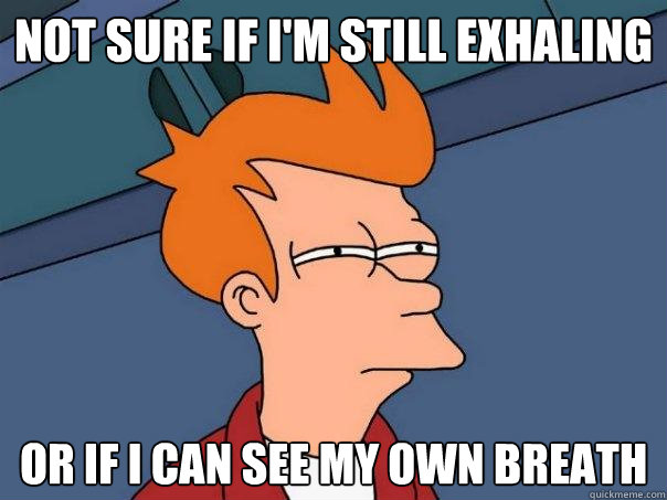 not sure if im still exhaling or if i can see my own breath - Futurama Fry